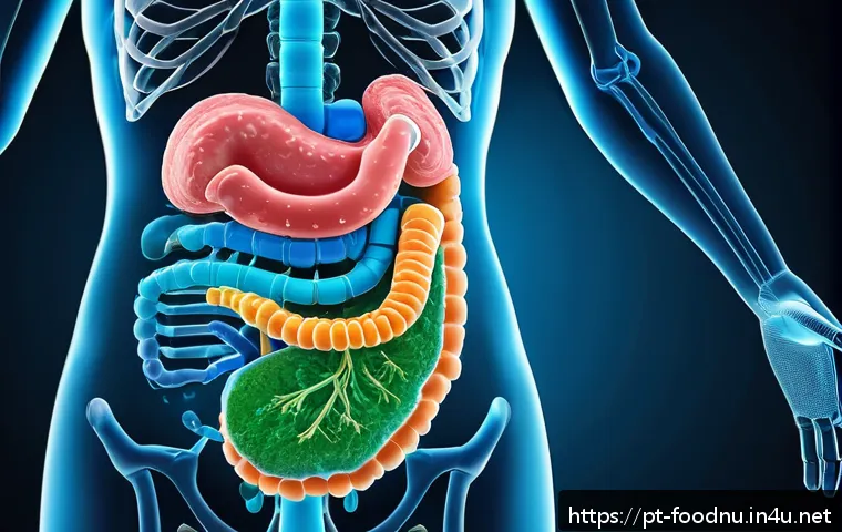 인공 감미료와 건강 이슈 - A detailed scientific illustration showing the human digestive system with a focus on the gut microb...